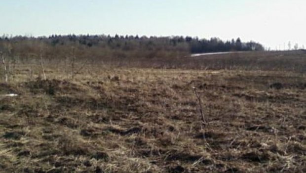 Узнать Кадастровый Номер Участка